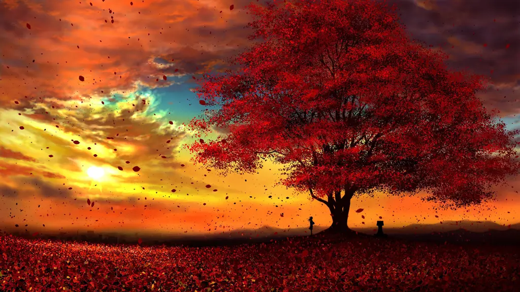 Pemandangan Anime yang Menakjubkan Wallpaper pemandangan anime